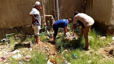 حملات صيانة للإنارة ومحطات المياه ونظافة عامة بأحياء الخارجة  