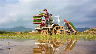 متوسط رواتب موظفي الحضر في الصين يشهد نموا في عام 2020