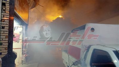 حملات مكبرة لمكافحة الحشرات الطائرة بكفر الشيخ