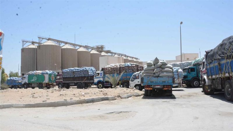 بوابة روز اليوسف