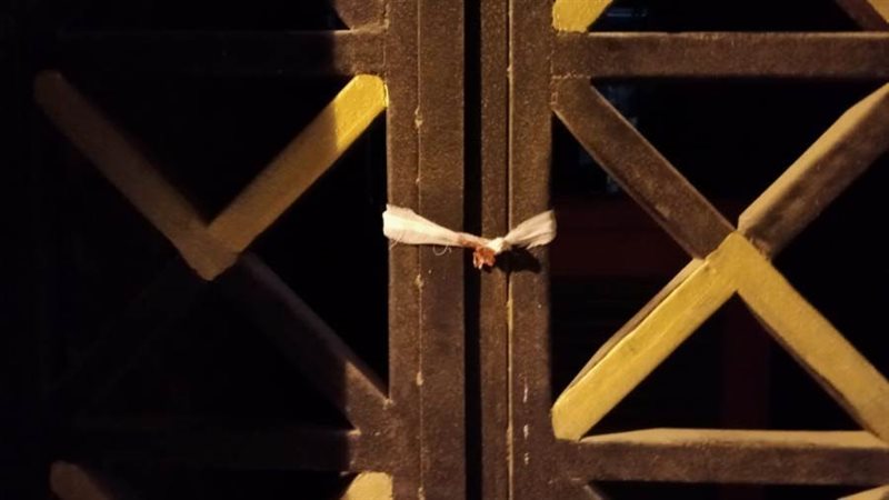 غلق المحلات المخالفة