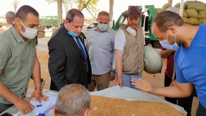 وكيل وزارة التموين