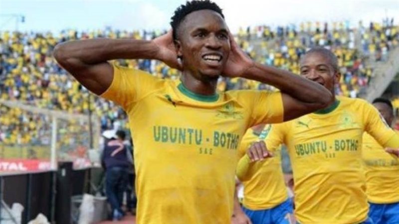 ثيمبا زواني