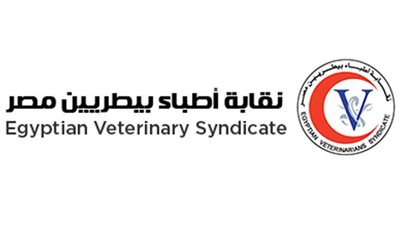 عاجل| تشكيل هيئة مكتب النقابة العامة للأطباء البيطريين