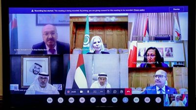 وزيرة الصحة تؤكد تضامن وزراء الصحة العرب مع الأشقاء بفلسطين