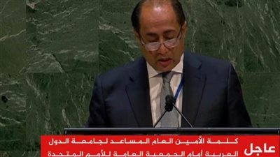 السفير حسام زكي: الأزمة الدامية كشفت عن مخاطر الإهمال الدولي للقضية الفلسطينية