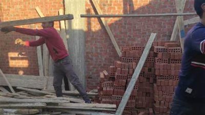 إزالة 8 حالات تعدٍّ على الأراضي الزراعية بالشرقية