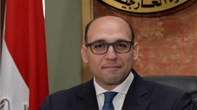 الخارجية: الأولوية لتثبيت وقف إطلاق النار بقطاع غزة والدفع بمسار التسوية السياسية