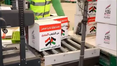 موجز الرابعة| مصر تواصل مساعدة الأشقاء الفلسطينيين في غزة.. والحكومة تنفي خبر الامتحانات