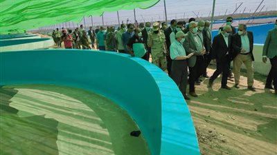  8 صور تبرز نشاط وزير الزراعة ومحافظ بورسعيد اليوم  