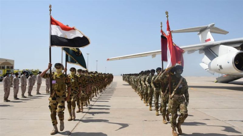 فعاليات التدريب المصرى