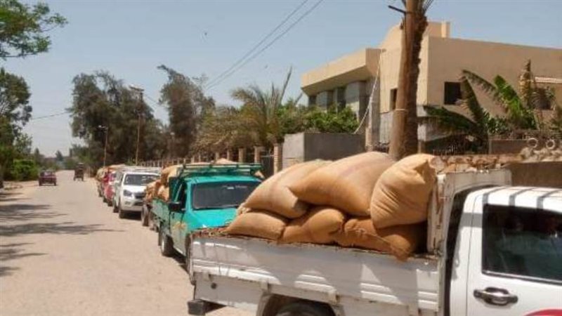 توريد القمح