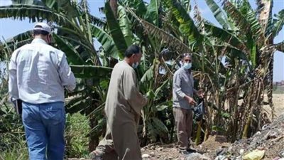 انطلاق الحملة القومية لمكافحة القوارض استعدادًا لزراعة المحاصيل الصيفية بالشرقية