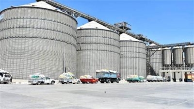 توريد 6311 طنًا من السنابل الذهبية لصوامع وشون الشرقية