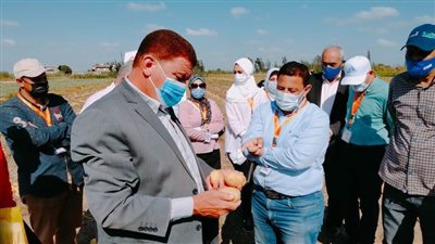 وكيل وزارة الزراعة يشهد يوم الحصاد لمحصول البطاطس بالبحيرة