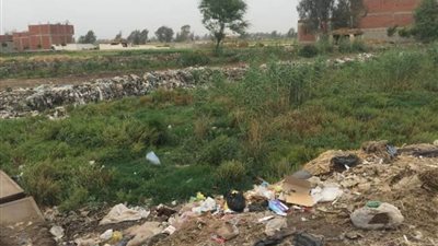 في استجابة سريعة من مجلس الوزراء.. البدء في تطهير مصرف عزبة ألمظ بالشرقية