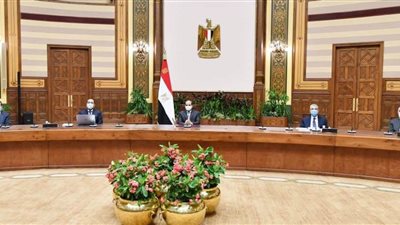 الرئيس السيسي يطلع على عرض متكامل لكافة محاور المشروع القومي حياة كريمة