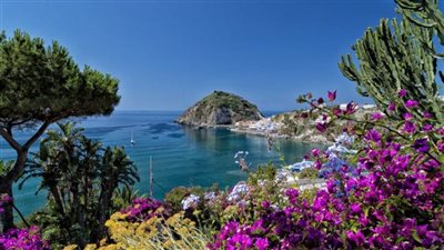 أرض العجائب.. جزيرة إيشيا الإيطالية 