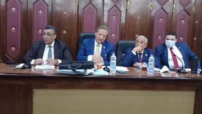 ممثل المالية أمام النواب: موازنة الصحة أكثر من 108 مليارات جنيه