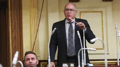 برلماني يطالب برفع الحد الأدنى للعلاوة إلى 120 جنيهًا