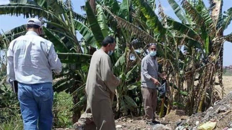 حملة القضاء علي القوارض