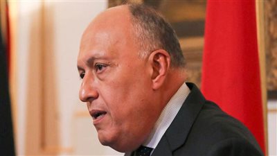 شكري: نقلت رسالة تضامن كاملة من الرئيس السيسي إلى الرئيس محمود عباس