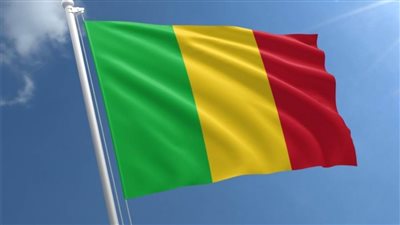  تشكيل حكومة جديدة في مالي تضم 25 وزيراً