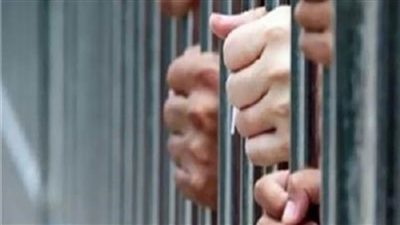 جنح إرهاب الشرقية: المشدد عامين لثلاثة أعضاء بجماعة الإخوان الإرهابية