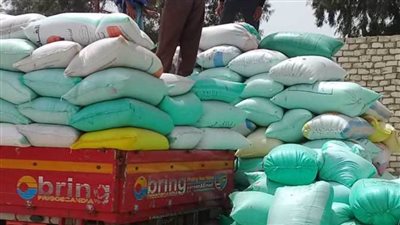 محافظ الشرقية: توريد 620 ألفا و660 طن قمح للشون والصوامع