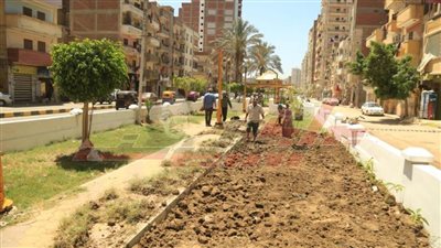 بدء إنشاء الحديقة العامة المجانية غرب عاصمة كفرالشيخ