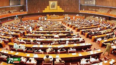 مجلس الشيوخ الباكستاني يدين الجرائم الإسرائيلية في غزة