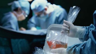 سقوط عصابة الاتجار بالأعضاء البشرية بالقاهرة