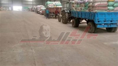 توريد 171930 طن قمح إلى شون وصوامع كفر الشيخ