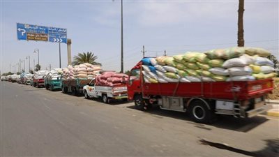 بنى سويف تخطت 105%  فى توريد القمح