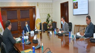 شعراوي يبحث مع البنك الدولي آخر مستجدات برنامج التنمية المحلية بالصعيد