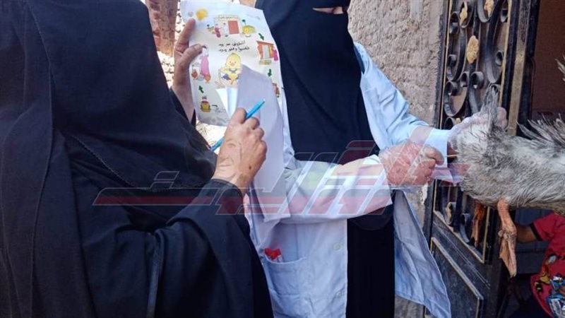 أعمال الحملة