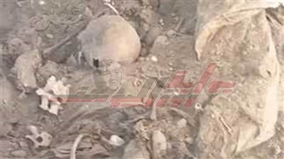 العثور على جماجم بشرية ورفات للموتى أسفل الطريق الحر بقليوب