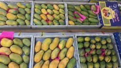 الزراعة: المانجو والموالح يتصدران قائمة الصادرات الزراعية.. وارتفاع حجمها لأكثر من 3.3 مليون طن