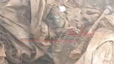 ضبط مشرف الوردية وطلب 7 آخرين في واقعة 