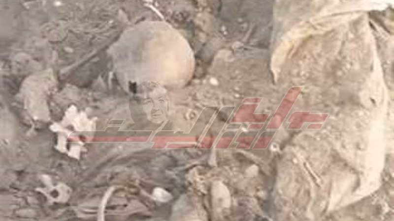 رفاق الموتى