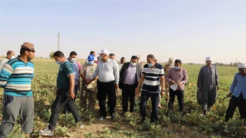 محافظ الوادى الجديد