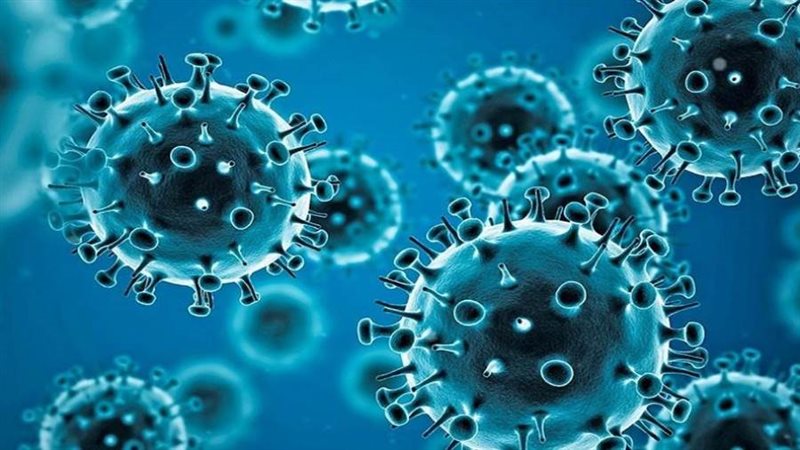 الوضع الوبائي لفيروس