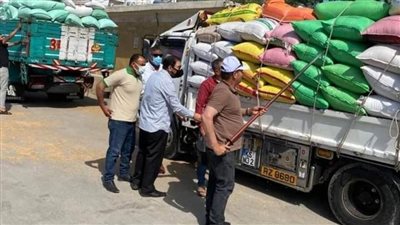 توريد 278 طن قمح للشون والصوامع بمراكز البحيرة