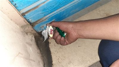 تحرير 78 محضر عدم ارتداء كمامات ومصادرة 17 شيشة في حملة بالبحيرة