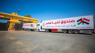 قافلة صندوق تحيا مصر الثالثة تصل غزة تنفيذا لتوجيهات الرئيس