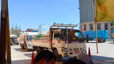 شون وصوامع كفر الشيخ تستقبل 174105 طن قمح