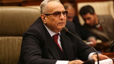 أبوشقة: رغم تحديات كورونا مصر تسير بخطى ثابتة وقوية