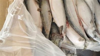 ضبط 14 طن أسماك منتهية الصلاحية بالبحيرة