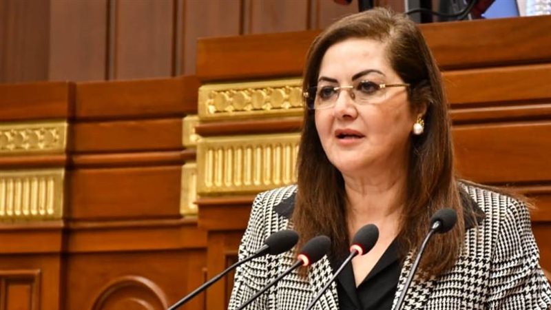 وزيرة التخطيط