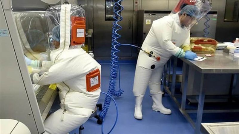 عالم فيروسات